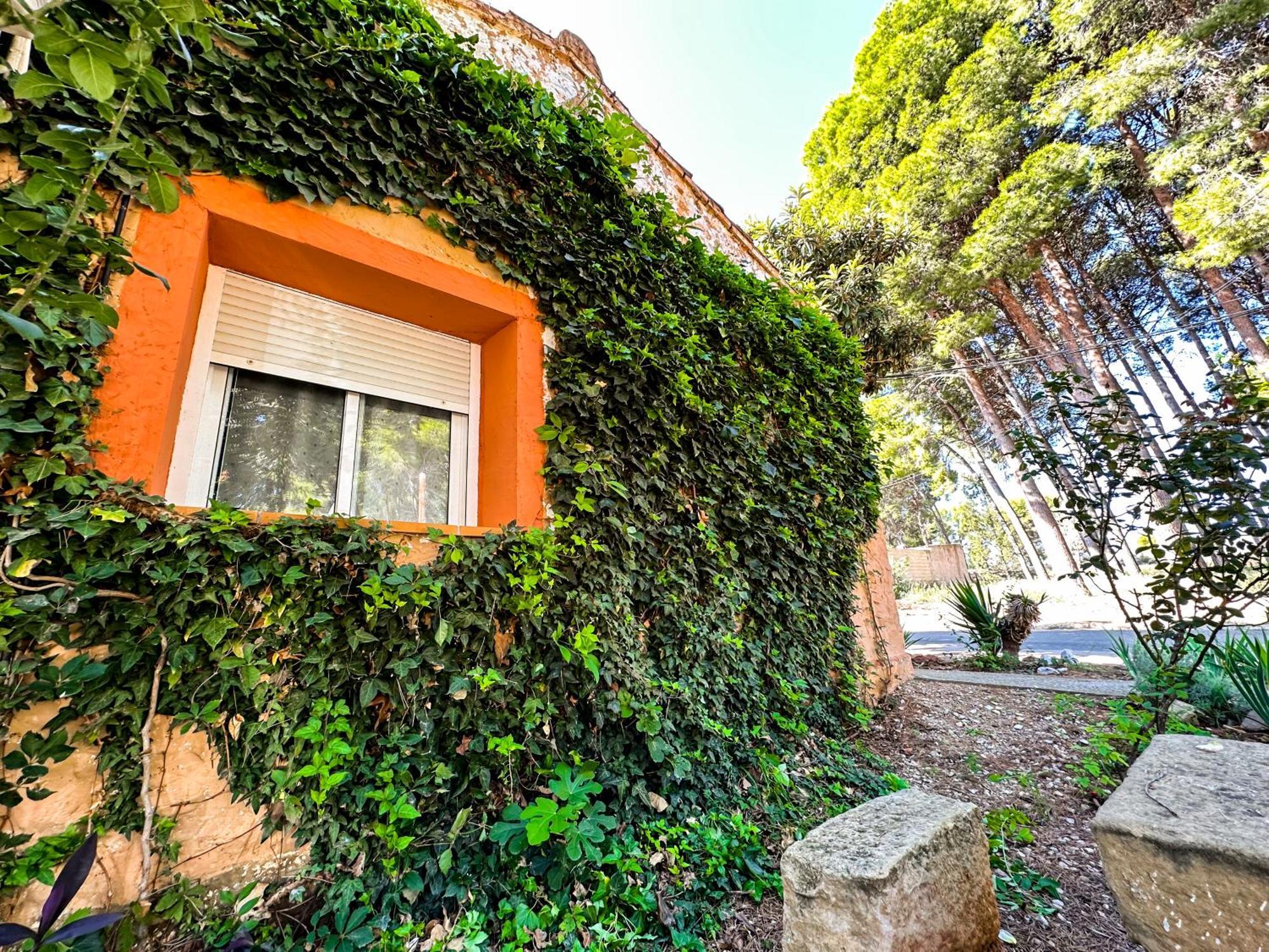 Casa Rural Los Pinos Valmuel エクステリア 写真