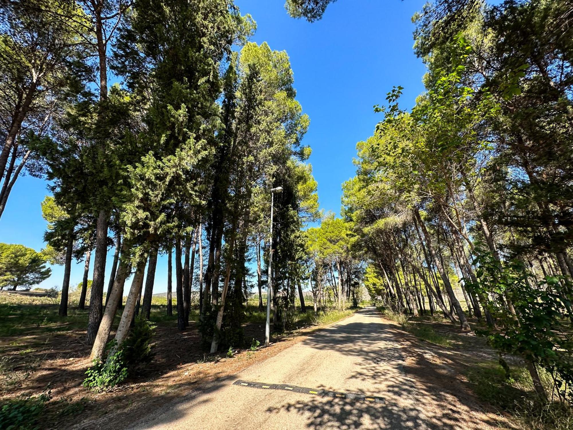 Casa Rural Los Pinos Valmuel エクステリア 写真
