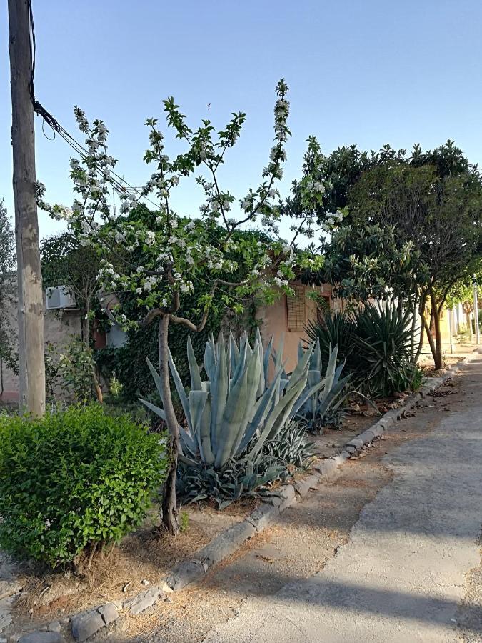 Casa Rural Los Pinos Valmuel エクステリア 写真
